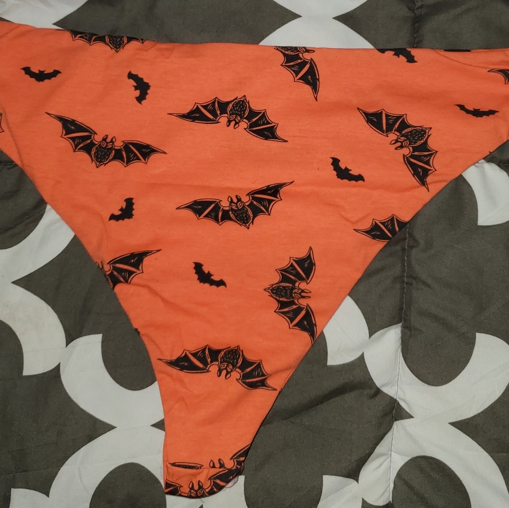 Knotty knickers Halloween panties 3x